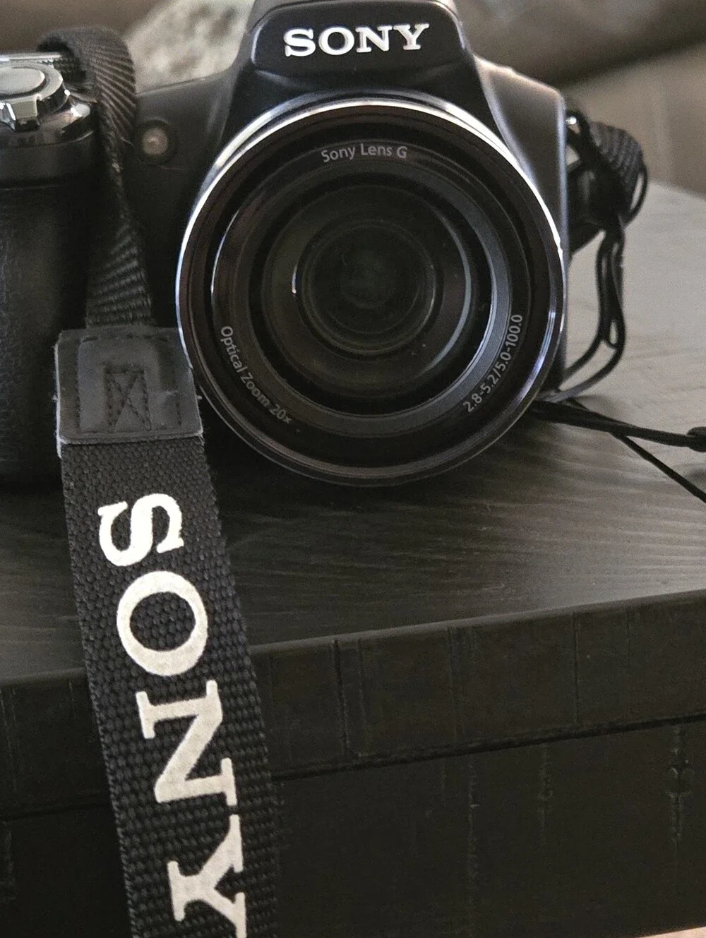 SONY CYBERSHOT MODEL DSC HX1 ...WITH ACCESSORIES/BAG